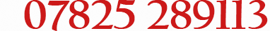 07825 289113
